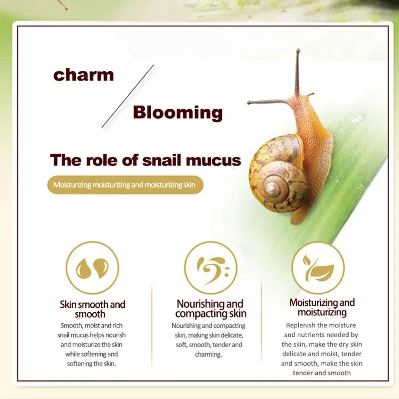 Snail Collagen Moisturizing Cream 60g - Jsaville's  health is wealth