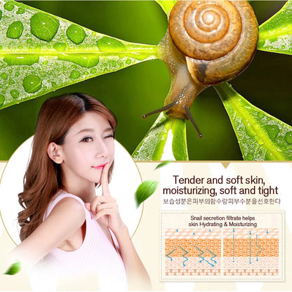 Snail Collagen Moisturizing Cream 60g - Jsaville's  health is wealth